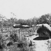 View of Mitchell River Mission, 1919